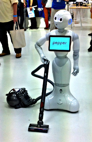 Yuli’s Law: On Domestic Utility&nbsp;Robots